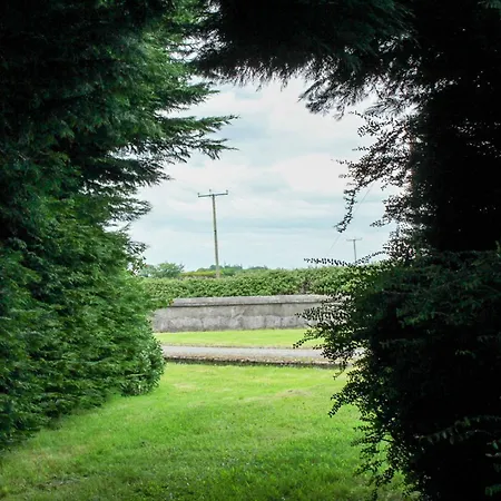 Mountain View Skreen